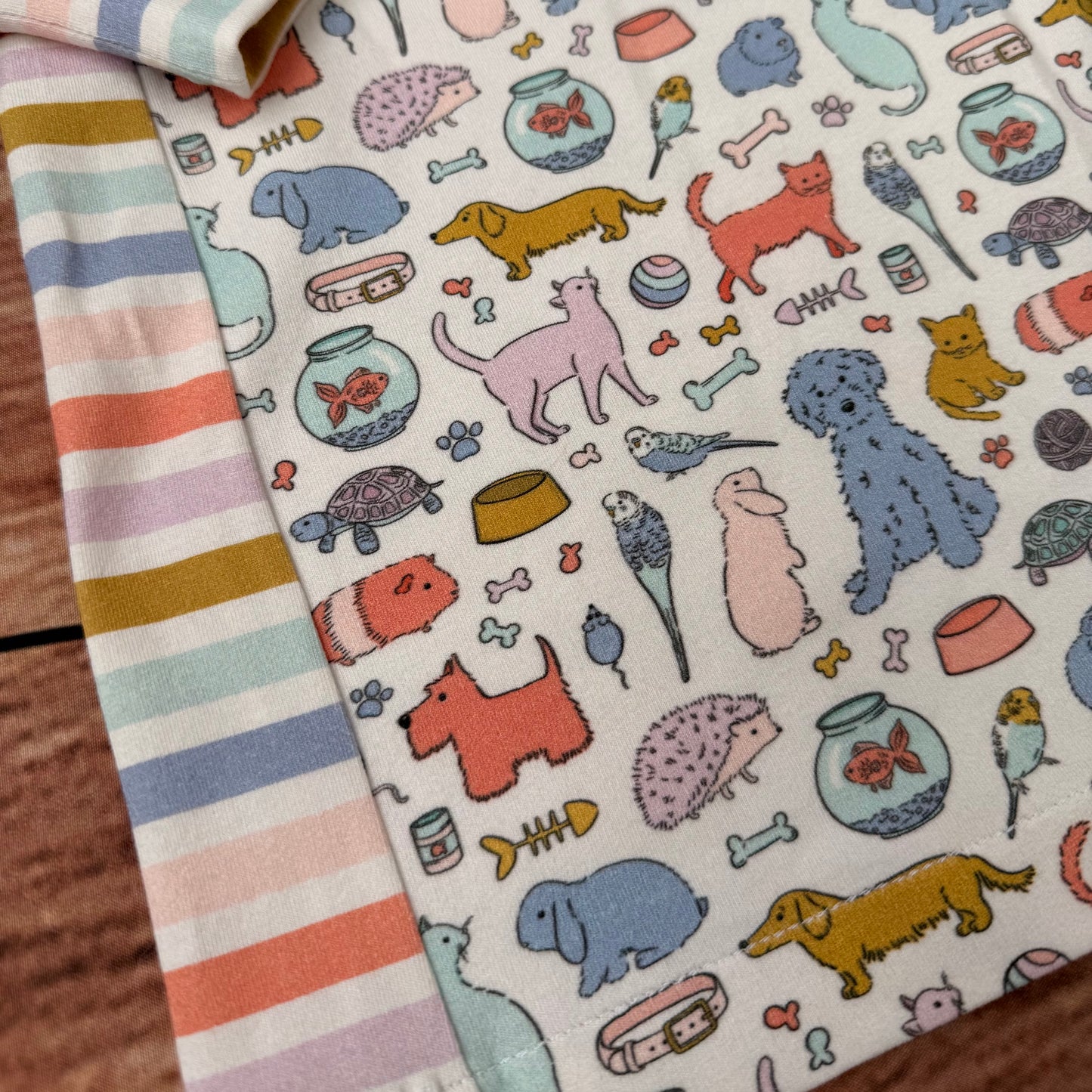 Pets Raglan Dress