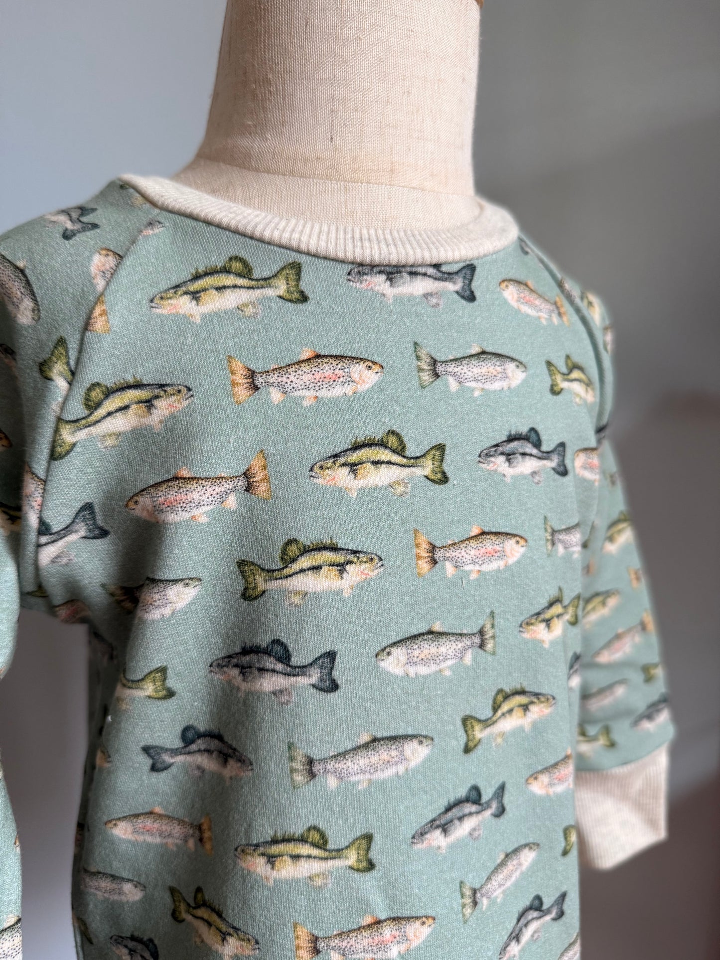Blue Fish Raglan Sweater